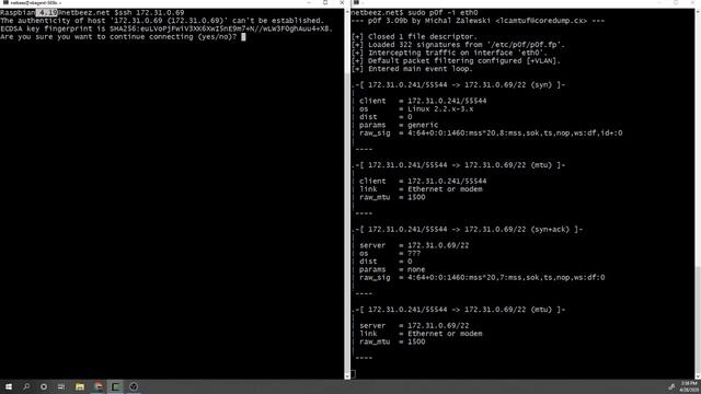 Identify a TCP Connection with p0f смотреть онлайн