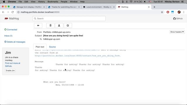 How to use mailhog to debug emails in Drupal 8 смотреть онлайн