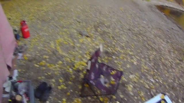 Отчет 02-04.10.20 Ириклинское вдхр. с Ринатом смотреть онлайн