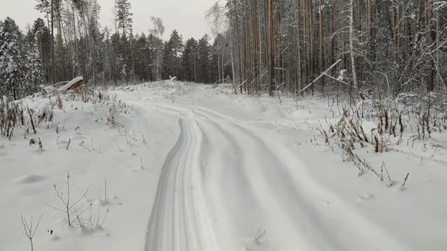 Зимняя охота в ноябре 2020 год