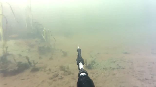 Кинешма "Сазанчег".mp4 смотреть онлайн