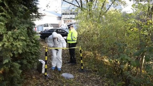 Introduction to Crime Scenes