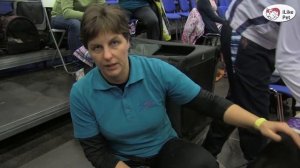 СОБАКИ КОРОТКОШЕРСТНЫЙ КОЛЛИ ЗООШОУ 2016 НА ilikepet