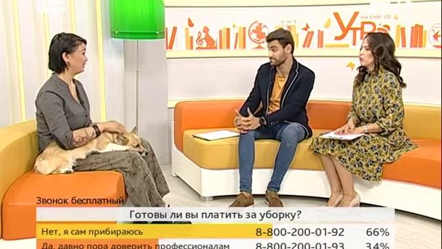Советы эксперта: как поддерживать порядок в квартире с животными? смотреть онлайн