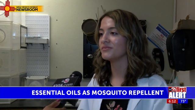 NMSU researcher testing the efficacy of essential oils in repelling mosquitos смотреть онлайн