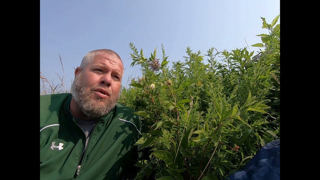 On the Ground with Passionflower (Passiflora incarnata) and Eric Comley, Garrard Co. 4-H YD Agent смотреть онлайн