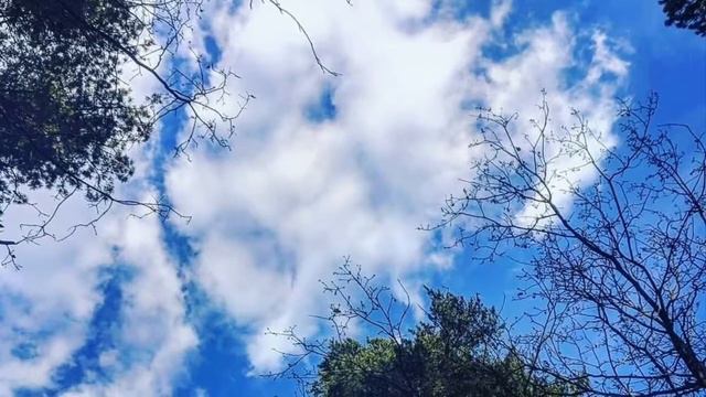 Субботний стих - Я старомодна смотреть онлайн