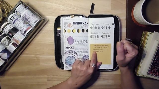 Tarot Planner Journal 2023 Flip through | My Witchy Planner @MyNomadPlanner смотреть онлайн