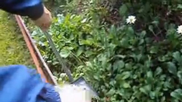 Осенняя дача.MOV03948.AVI смотреть онлайн