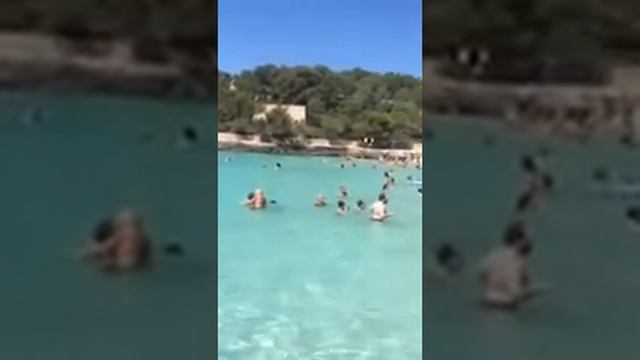 Cala mondragò смотреть онлайн