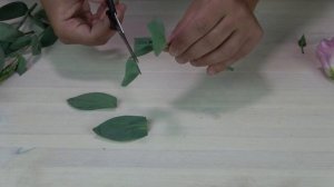 Эустома черенкование и размножение