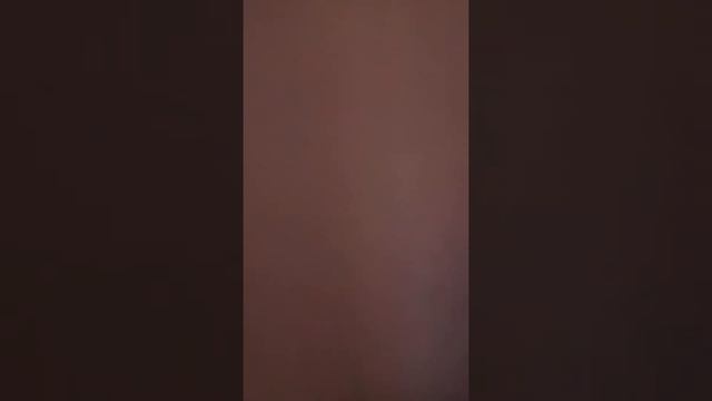 Обзор квартиры в Киеве на ул. Лебедевой-Кумаче за 613$ смотреть онлайн