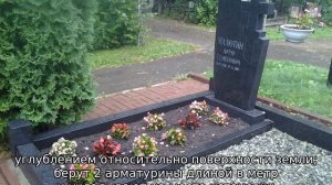 Цветник на могилу