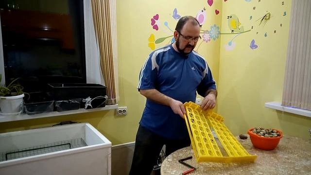 Итог тестовой инкубации в самодельном инкубаторе. смотреть онлайн