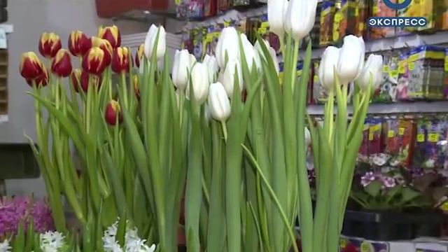 «Телесемь» подскажет пензенцам, как выбрать цветы на 8 Марта смотреть онлайн