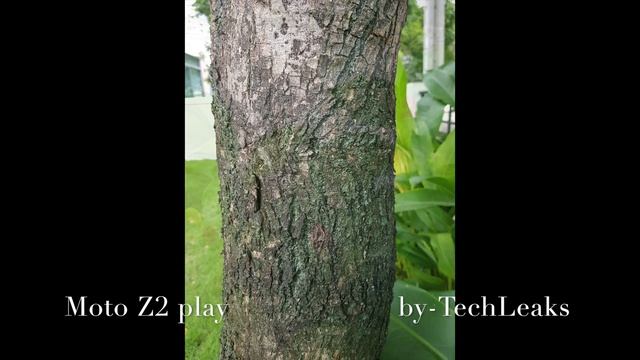 MOTO Z2 PLAY vs XIAOMI MI6 STEADY SHOTS TEST смотреть онлайн
