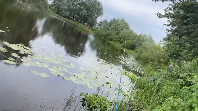 Відкриваю французький ресторан ,поїхав на рибалку а ловили черепах ?