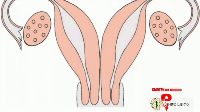 ОЁ АЗ БАЧАДОНИ ДУШОХАГА ХОМИЛА МЕШАВАД?