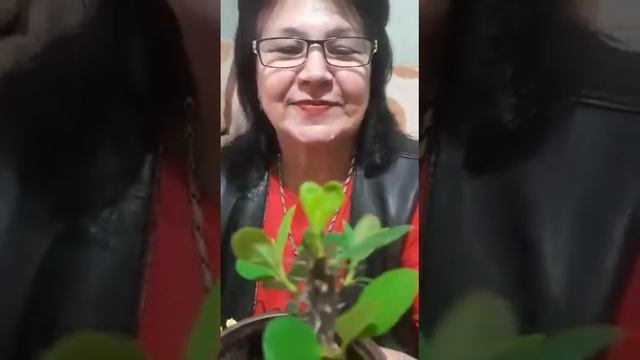 3 мая 2022 г. смотреть онлайн