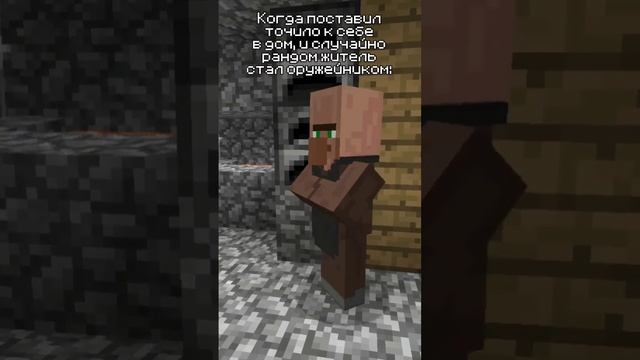 Голос жителя; мем: Все думали что я шутить #мемы #майнкрафт смотреть онлайн