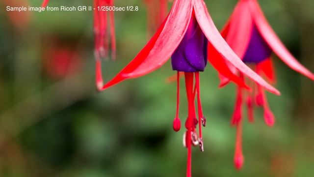 What You Need to Know | Ricoh GR II смотреть онлайн