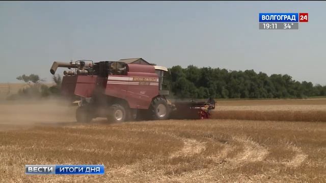 Сельхозпредприятие Ивана Свинолупова показывает высокую урожайность смотреть онлайн
