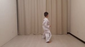 Подготовка к аттестации на бело-жёлтый пояс тхэквондо. 9 гып.