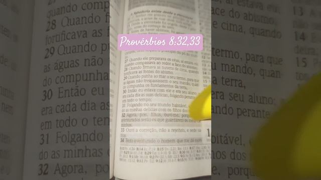Provérbios 8:32,33 Versículo da Bíblia #deus #jesus #viral #motivation #religion #gamer #amor #fé смотреть онлайн