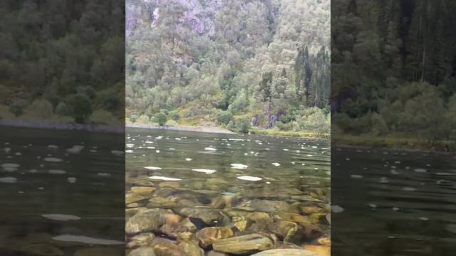 Clear water in the fjords смотреть онлайн