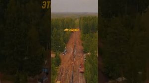 В газ добавляют запах гниющего мяса? Зачем? как так?