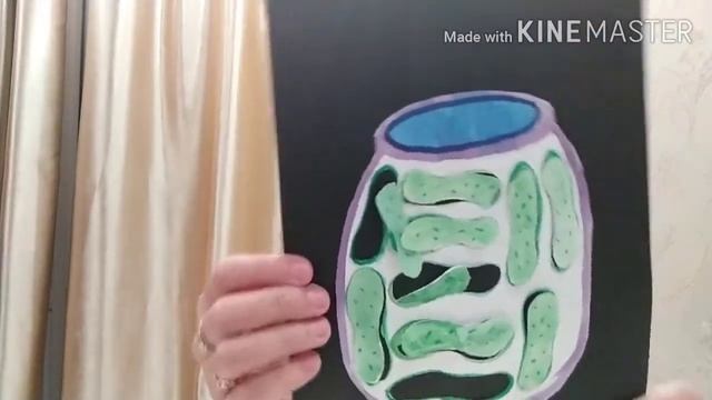 Логопедические игры своими ручками||Жанат Тилектесовна Нур-султан