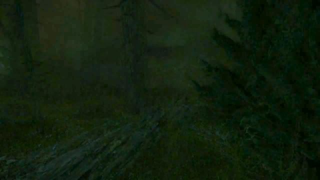 (Хорроры) The Cursed Forest - Девочка-мозайка 1 смотреть онлайн