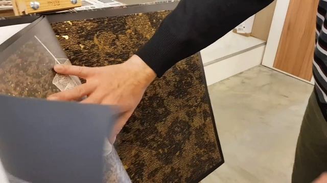 Вибираю паркет в квартиру смотреть онлайн