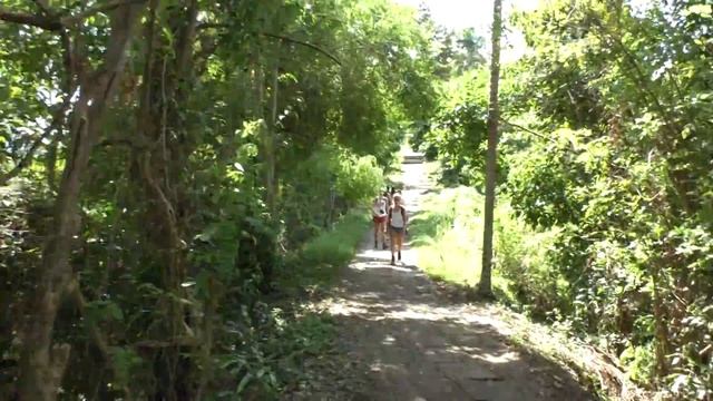 Видео обзор 