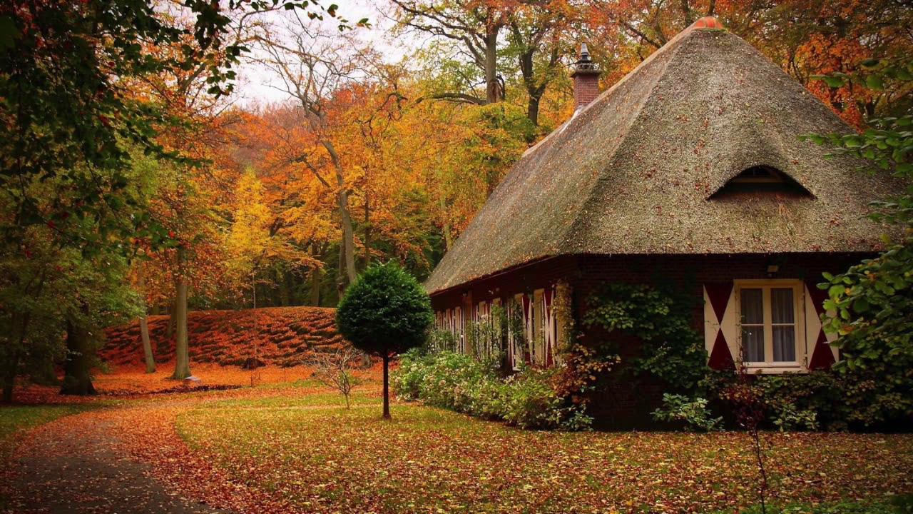 Музыка Для Активации Внутренних Резервов, Душевного Спокойствия И Мира В Душе Музыка Для Медитации смотреть онлайн