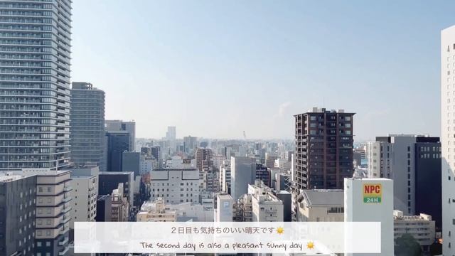 〔 vlog 〕名古屋旅行1泊2日｜初名古屋で観光地とカフェ巡りを楽しむ夫婦旅行??⛩ смотреть онлайн