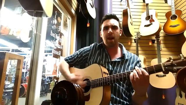 Shane Archer Reed- "Immortals" Fall Out Boy cover смотреть онлайн