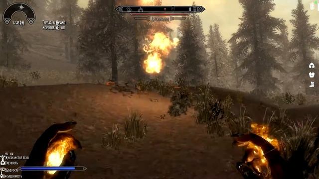 Skyrim Association. Dragonborn #30: На поиски Торкильда!