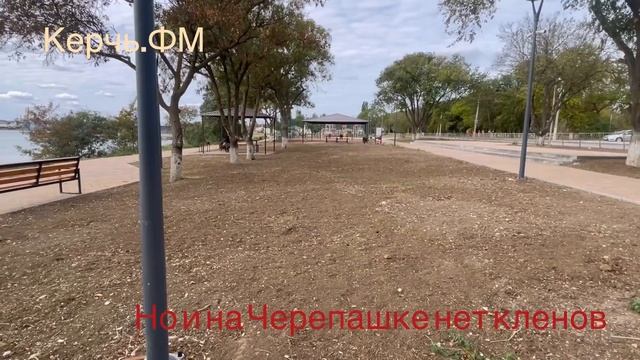 Клены так и не высадили в Керчи смотреть онлайн