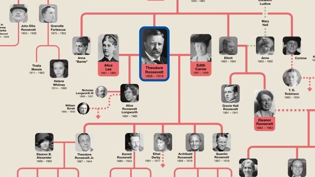 Teddy Roosevelt & Franklin Roosevelt Family Tree смотреть онлайн