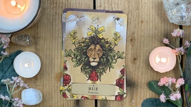 The Herbal Astrology Oracle Walkthrough смотреть онлайн