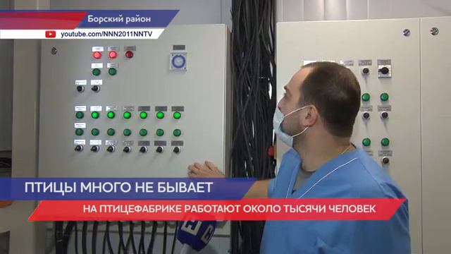 Два цеха модернизировали на Линдовской птицефабрике в Борском районе смотреть онлайн