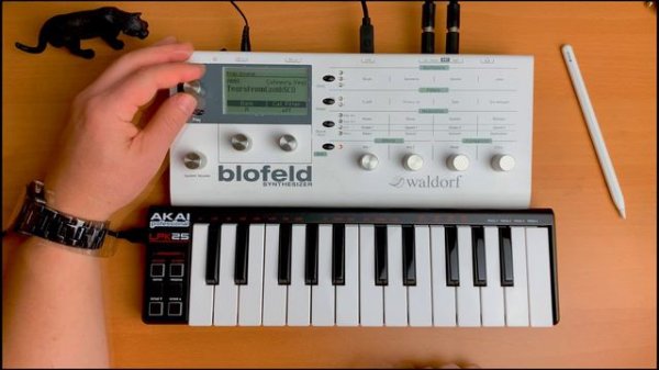 Waldorf blofeld Synthesizer