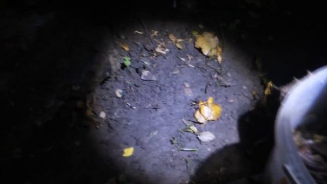 Как собрать много выползков!.mp4 смотреть онлайн