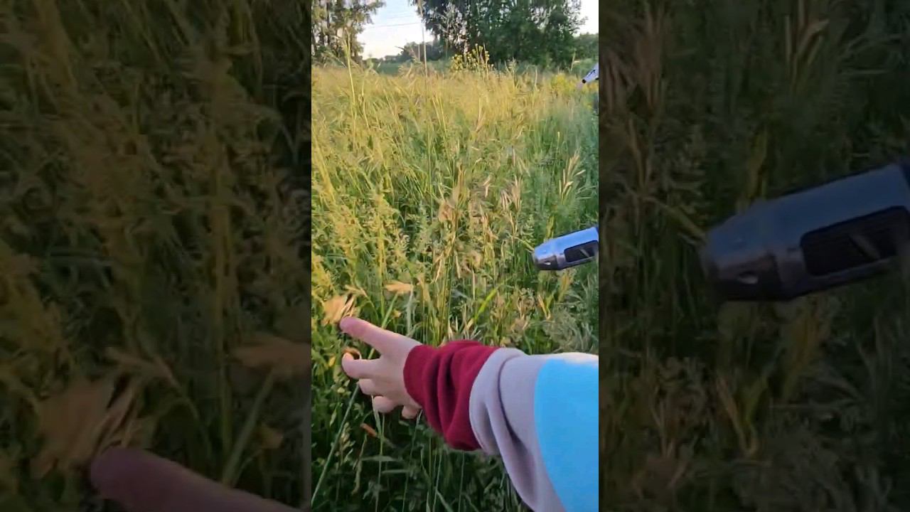 все мы немного гладиаторы по жизни смотреть онлайн