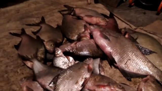 Рыбалка.mp4 смотреть онлайн