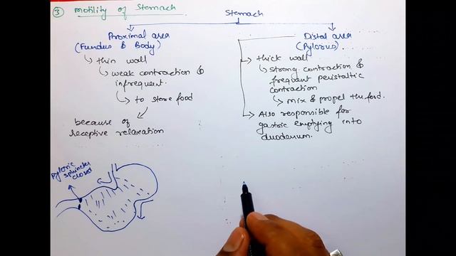 Movements of GIT (Chewing, Swallowing Peristalsis Segmentation & Defecation) Hindi | Bhushan Scienc смотреть онлайн