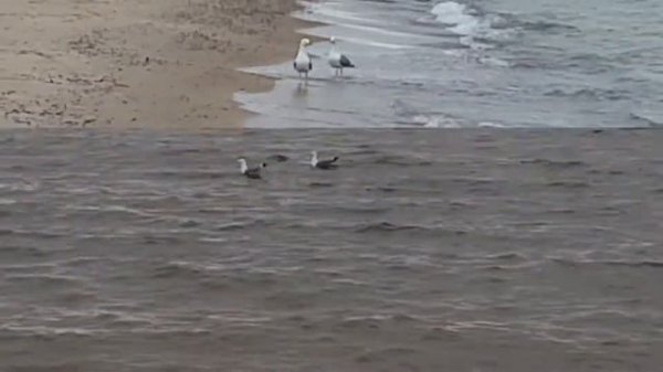 Дай мне сил - Виктория Качур.