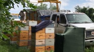 Vlad Belozerov #3: Пасека 200+ Легко!!!  Финальные ответы