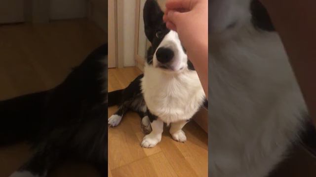 Д.Р.Р смотреть онлайн